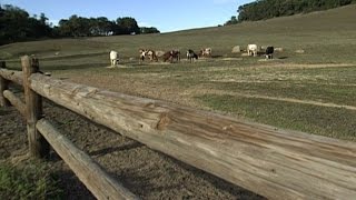 Tour The California Ranch Where Nancy And Ronald Reagan Lived For 23 Years
