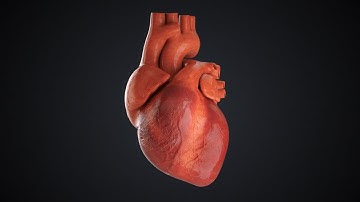 C4D Heart Beat - Cinema 4D Tutorial (Free Project)