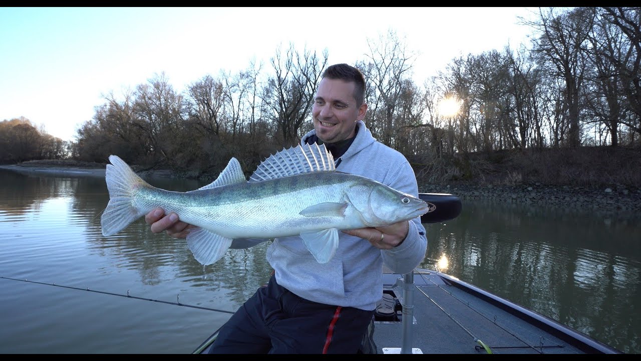 Téli gumihalas süllőzés a Dunán - Koncz Dávid