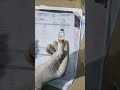 علاج الماجنيسيوم سلفيت