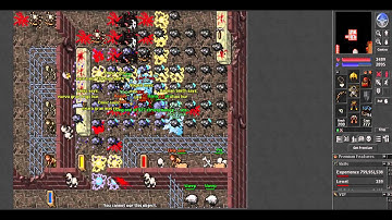 Mr. Punish PoI check