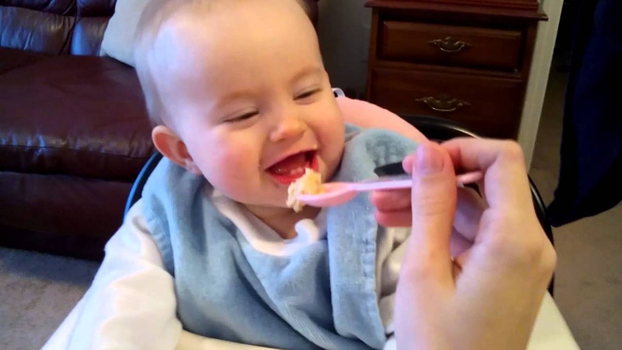 Mares eat oats and does eat oats - YouTube