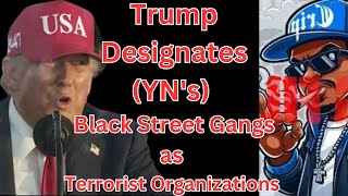 Download Lagu Trump Designates (YN's) Black Street Gangs as Terrorist Organizations MP3 Download Lagu Trump Designates (YN's) Black Street Gangs as Terrorist Organizations MP3