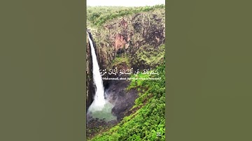 🟢 تلاوة من سورة النازعات 🟢🟤 بصوت القارئ اسلام صبحي 🟤