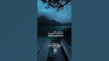 سورة الفرقان بصوت القارئ عبد الرحمان مسعد 🫰 #قران_كريم #متابعة #عبدالرحمن_مسعد #اسلام_صبحي