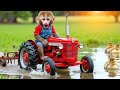 Monkey NaNa Drives Tractor And Challenging Plowing Journey NANA MONKEY LIFE