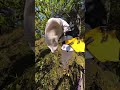 Типичные ошибки во время спуска на велосипеде по трейлам и как их избежать.
