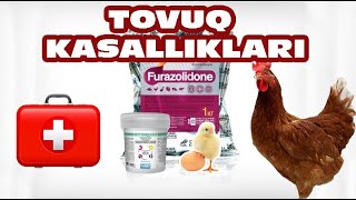 Товук касалликлари | TOVUQ KASALLIKLARI (Tovuq Boqish Sirlari | Товук бокиш сирлари) Товук касалликлари | TOVUQ KASALLIKLARI (Tovuq Boqish Sirlari | Товук бокиш сирлари)