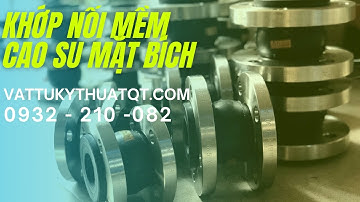 Khớp Nối Mềm Cao Su Mặt Bích [VATTUKYTHUATQT.COM]