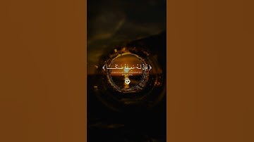 اسلام صبحي… تلاوة تهز القلوب ♡| #قرآن #تلاوة_خاشعة #اسلام_صبحي #راحة_نفسية #تابعوني #اكسبلور #لايك