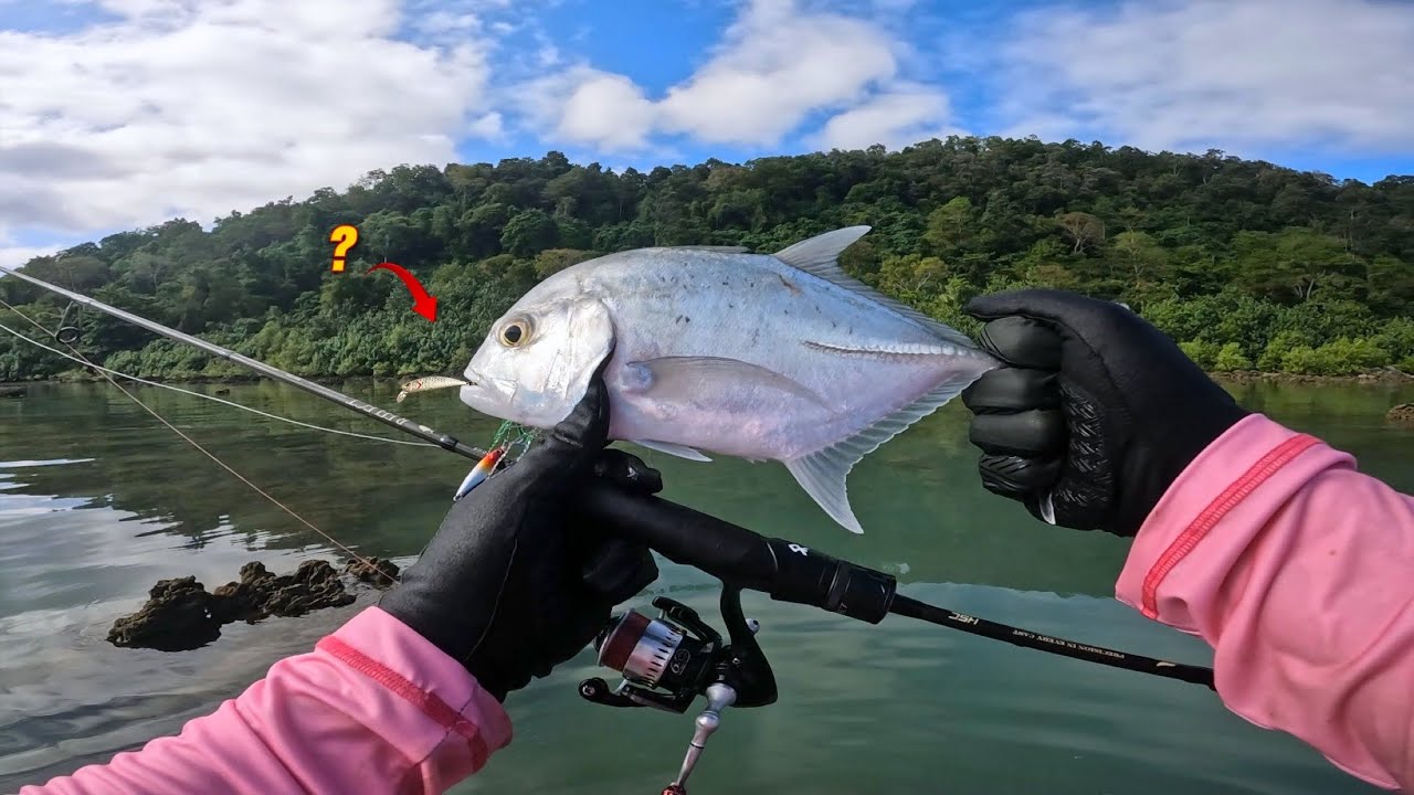 MINOW or MICRO JIG ?? Umpan yang Tepat saat Kondisi Air Keruh Kehijauan, Masak hasil pancing di spot