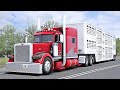 Cattle to Yakima with Jon Ruda's Peterbilt 389