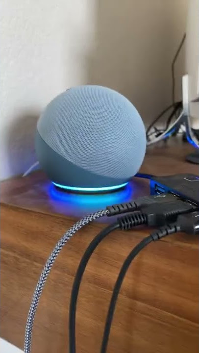 All Alexa sounds