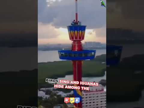كانكون سحر المكسيك يبدأ من هنا  اكسبلور