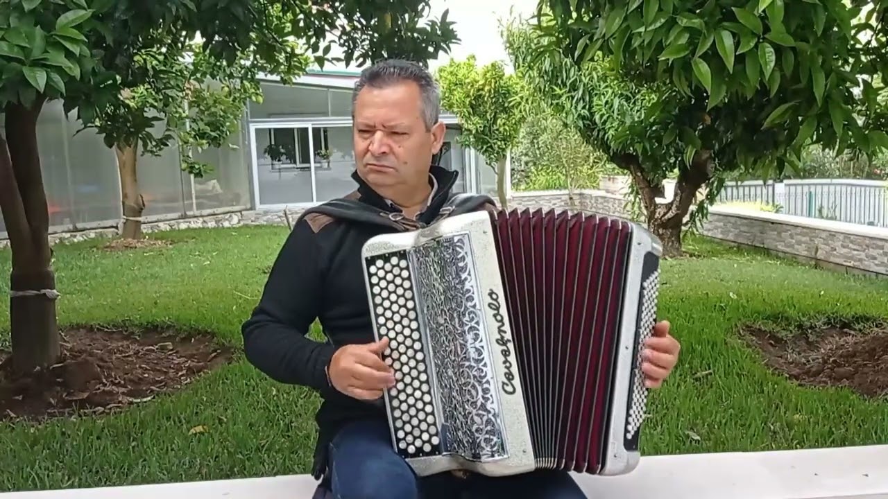 acordei sem força na Berga_ António Ribeiro