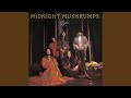 Miniature de la vidéo de la chanson Midnight Mushrumps