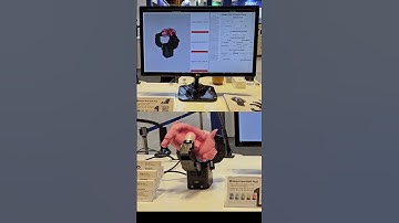 AW 2025 | Allegro Hand V5 #robot #robotics #aw2025 #오토메이션월드