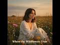 VAETH Where The Wildflowers Grow mp3