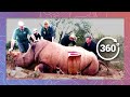 Wildlife Vets Perform Autopsy On Poached Rhino | Wildlife In 360 VR