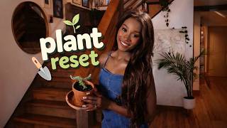 Saving My Succulent Repotting & Care Vanniall