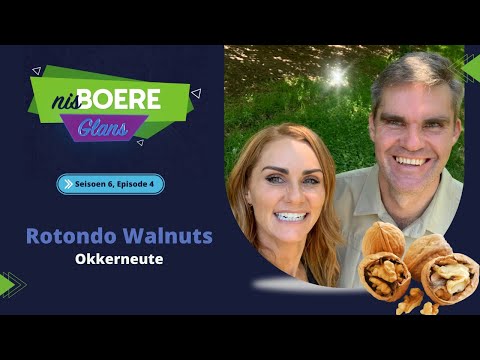 Video: Okkerneute: Voordele