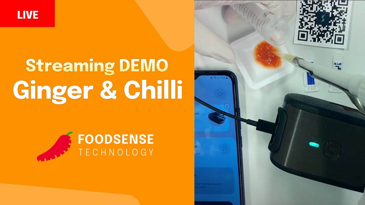 Ginger Stream Ginger and Chilli - Live Streaming Demo - YouTube