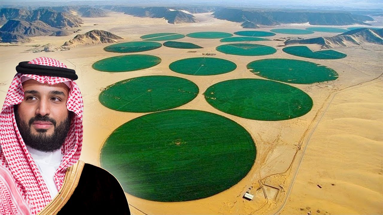 A IMPRESSIONANTE AGRICULTURA NO DESERTO DA ARÁBIA SAUDITA