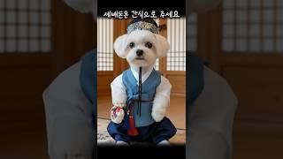 세배돈은 순살치킨 한마리입니다🐶