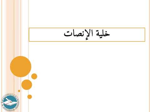 الدرس 86 خلايا الإنصات والوساطة  ياسين سلين