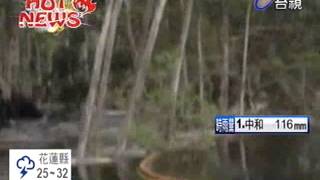 美神秘「天坑」瞬間吞6樓高巨樹