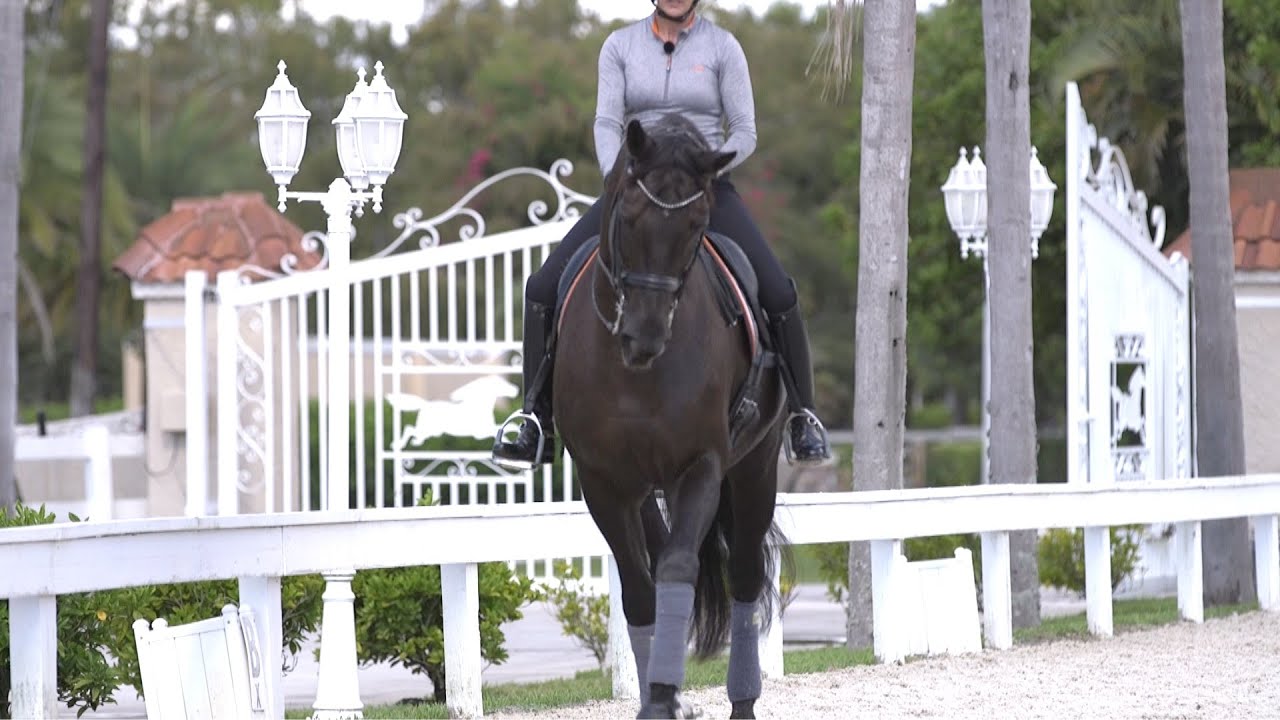 Mikala Münter - bøjning / bending