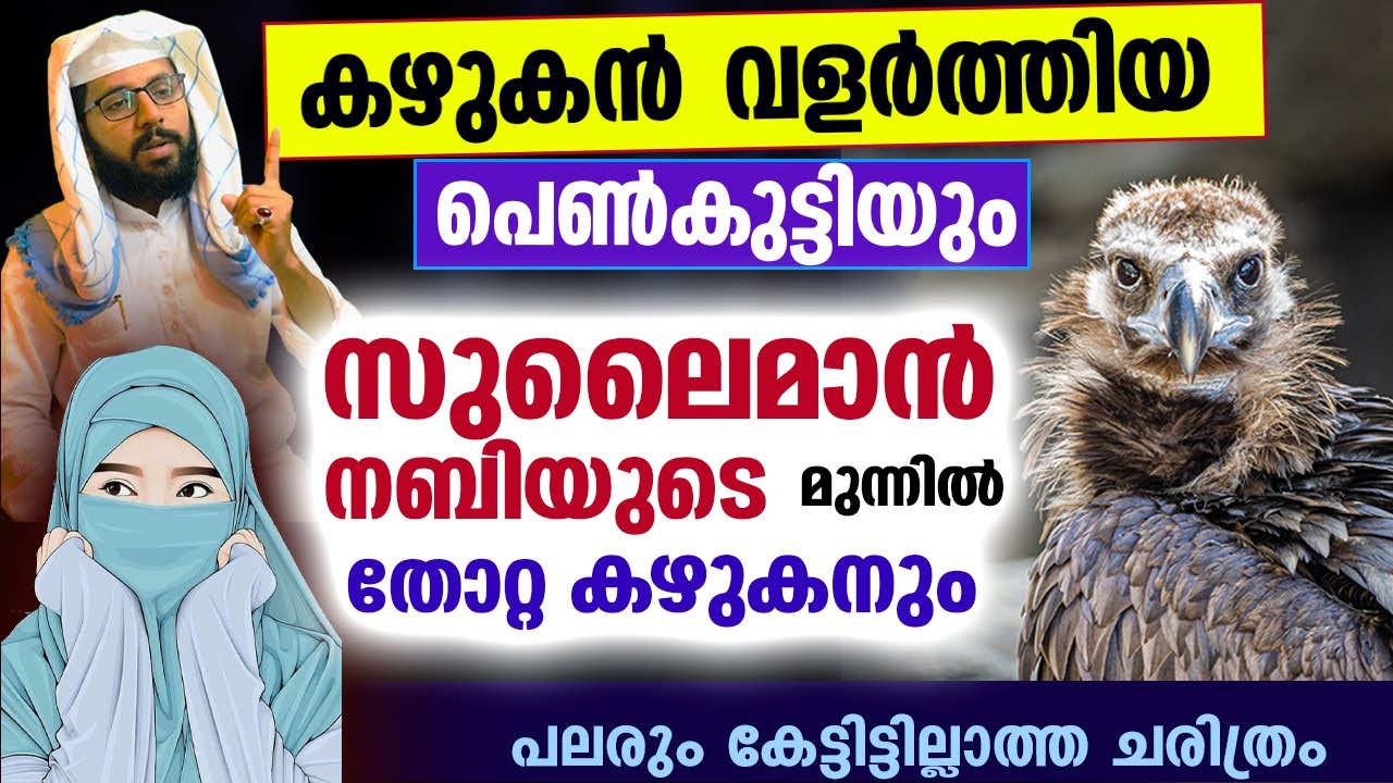 കഴുകൻ വളർത്തിയ പെൺകുട്ടിയും സുലൈമാൻ നബിയുടെ മുന്നിൽ തോറ്റ കഴുകനും Sulaiman Nabi | Shafeeq Badri