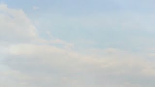 Caboclo Da Mata  -   Cardan Dantas, Silvio Ricarti - Sous-titres : Français