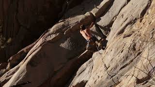 Obed, Tierrany. Jungle Jane (12a) Avery Adzima
