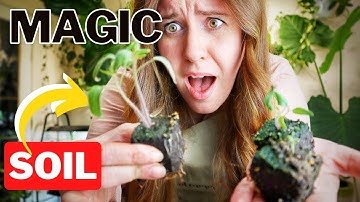 Testing Soil Blocking Mixes!