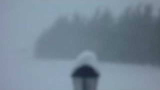 P1000533.mp4