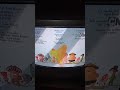 Mush Mush And The Mushable Credits For Colleen Ford Tyler Fox Cory Russell Ryan Hutchins Dylan Perr Mush Mush And The Mushable Credits For Colleen Ford Tyler Fox Cory Russell Ryan Hutchins Dylan Perr