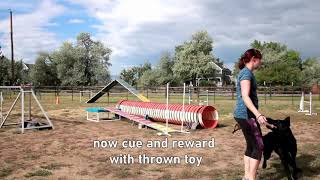 Agility contact and tunnel discriminations