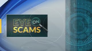 Eye on Scams: Businesses targeted in annual report letter scam