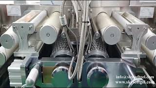 SKY-Servo Encapsulation Machine-SV-1000
