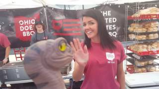 Bob the Raptor Visits 2016 Downtown Willoughby Ohio Rib Burnoff Festival