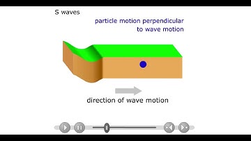 S-Wave Particle Motion Visualization