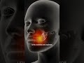 Você aperta os dentes ao longo do dia? Seu sorriso pode até resistir agora — mas o futuro cobra.