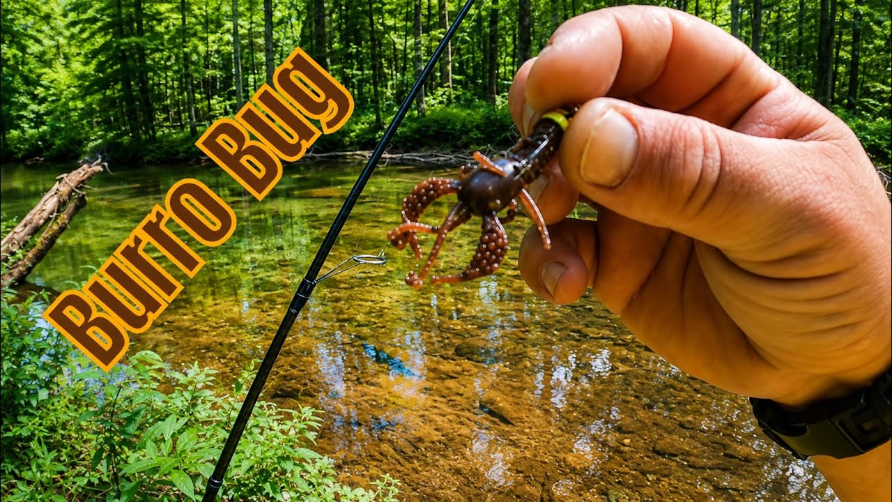 Creek fishing with the Mule Fishing Burro Bug