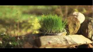 Organic Valley Mud Pie Commercial (Extended)