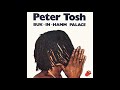 Peter Tosh ‎– Buk-In-Hamm Palace (Studio Version)