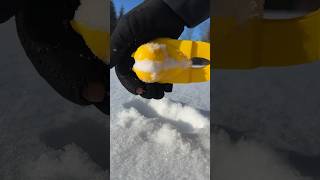 How To Make The Perfect Duck Snowball?? #Shorts