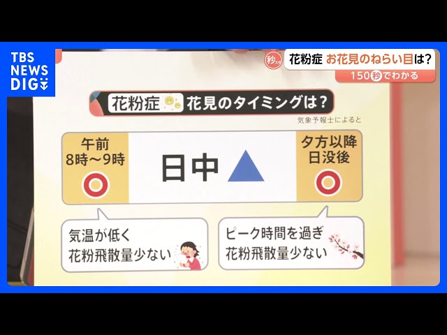 桜が満開になる頃、スギ花粉はピークアウト？花粉症の人におすすめの“花見タイミング”とは【Nスタ解説】｜TBS NEWS DIG