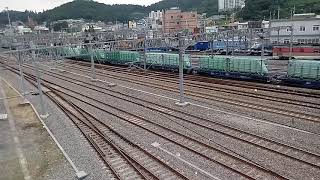 디젤기관차 7340호 견인 무궁화호 #1441 열차 마지막 정차역 진입영상