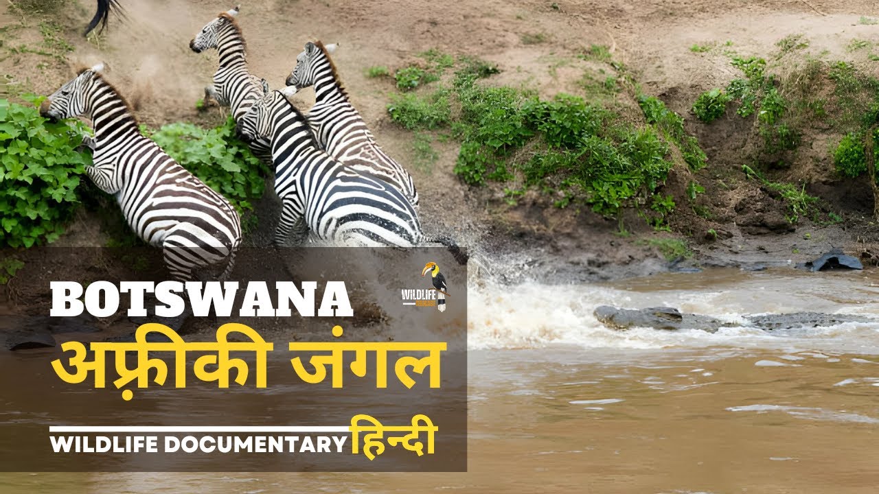 Botswana Jungle Africa 2      Wild animals documentary in Hindi